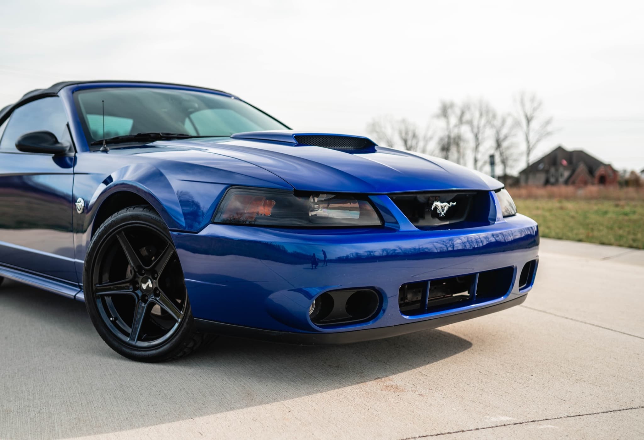 Ford Mustang SVT Cobra front view after ceramic coating