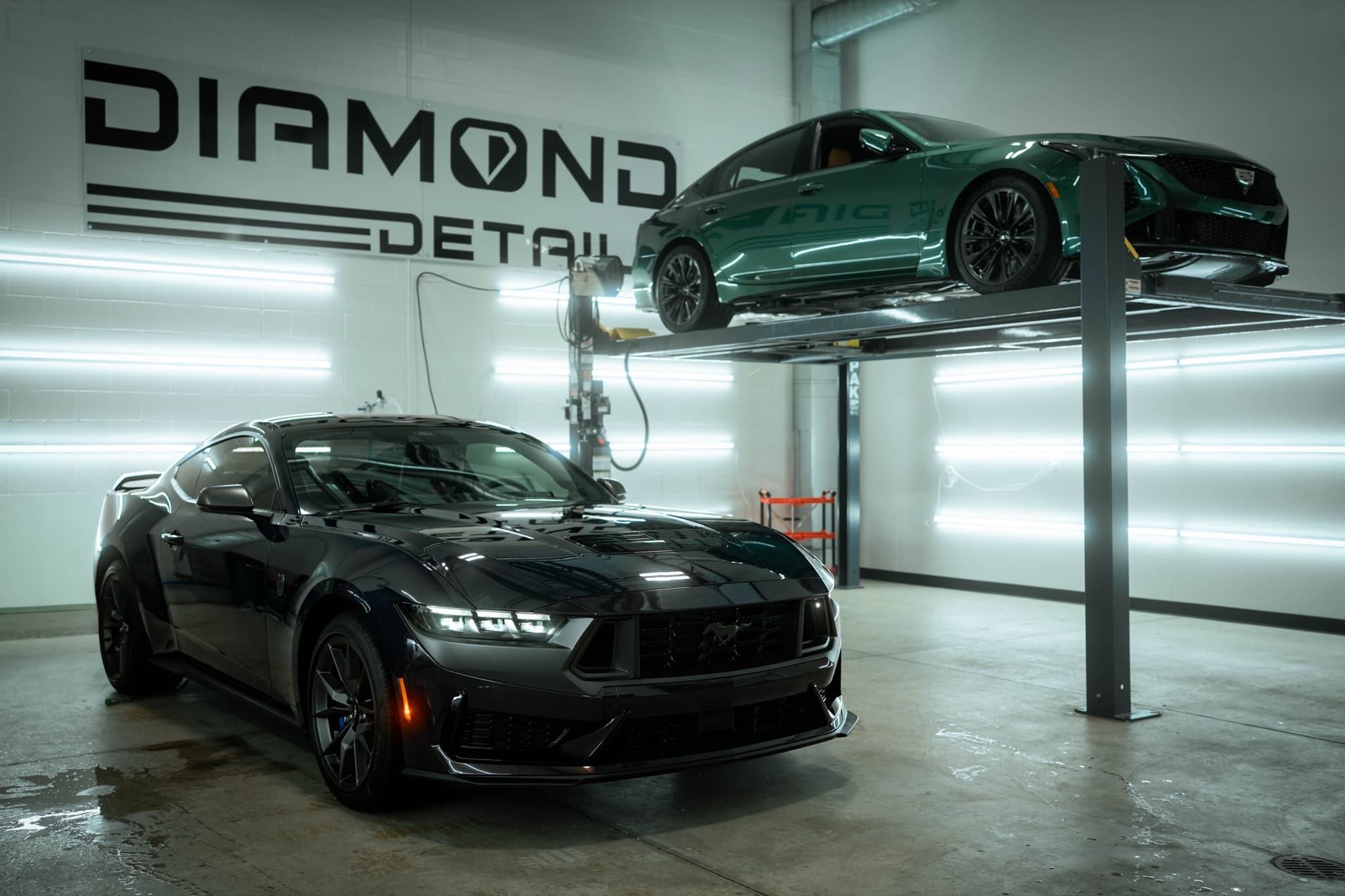 Ford Mustang Dark Horse in the Diamond Detailz install bay